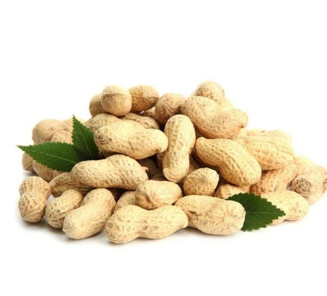 花生果精选生的珍珠带壳小粒晒干大粒农家种植花生