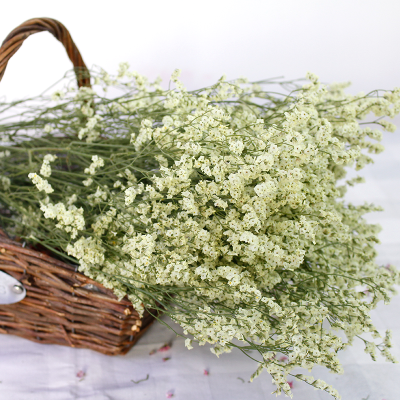 ins鲜花风干水晶花情人草满天星干花花束森系田园干花