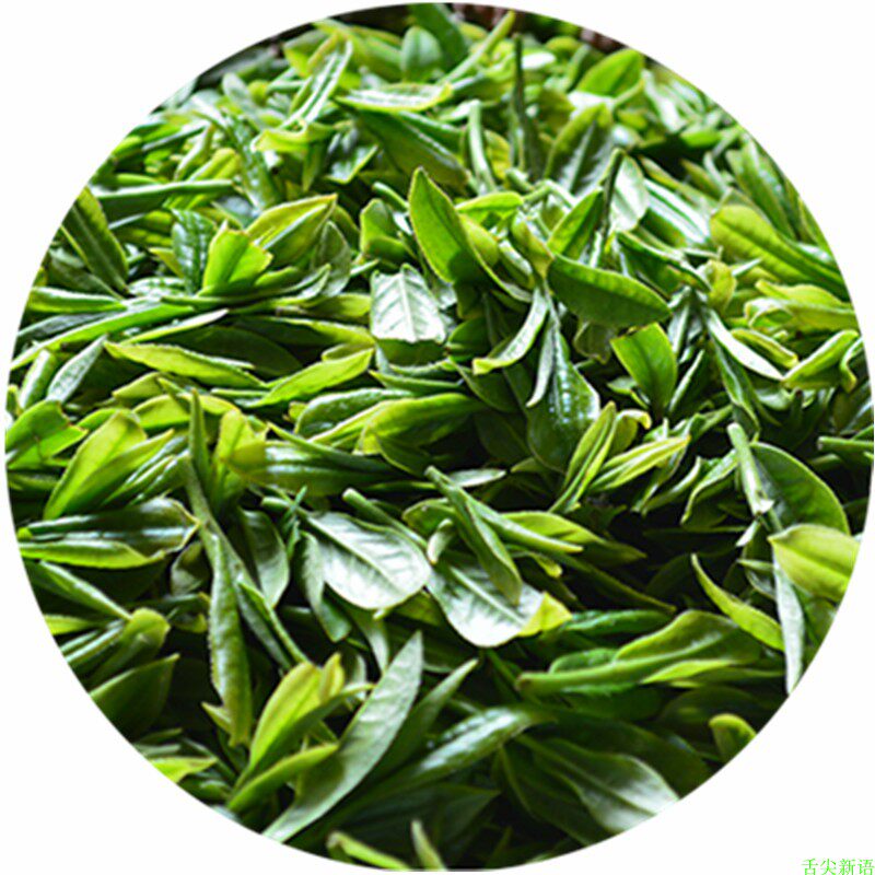 商南泉茗茶叶2022新茶炒青手工明前舌尖陕南特色产区绿茶