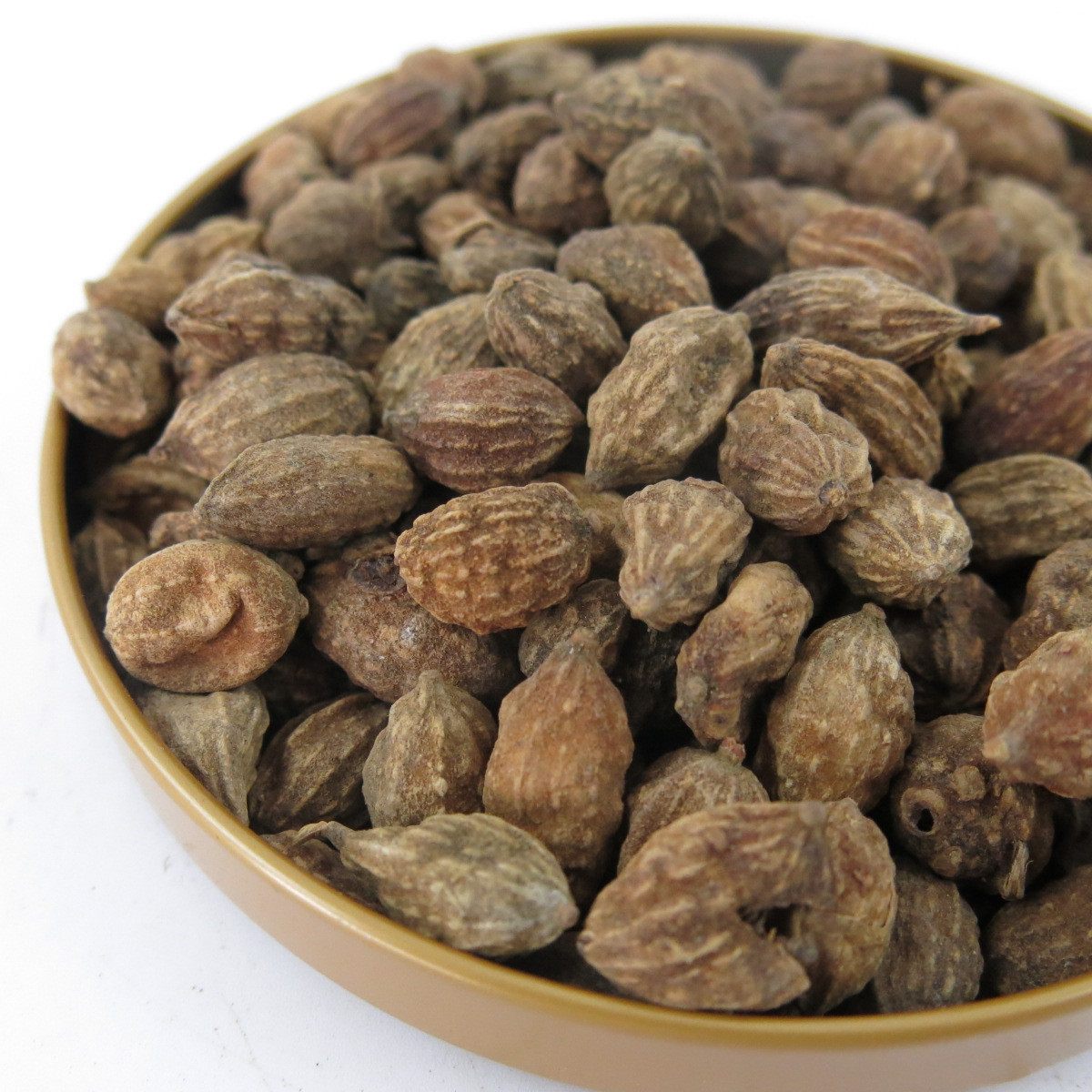 中药材 野生特级益智仁500克包邮广西益智仁 正品益智仁泡茶 新货