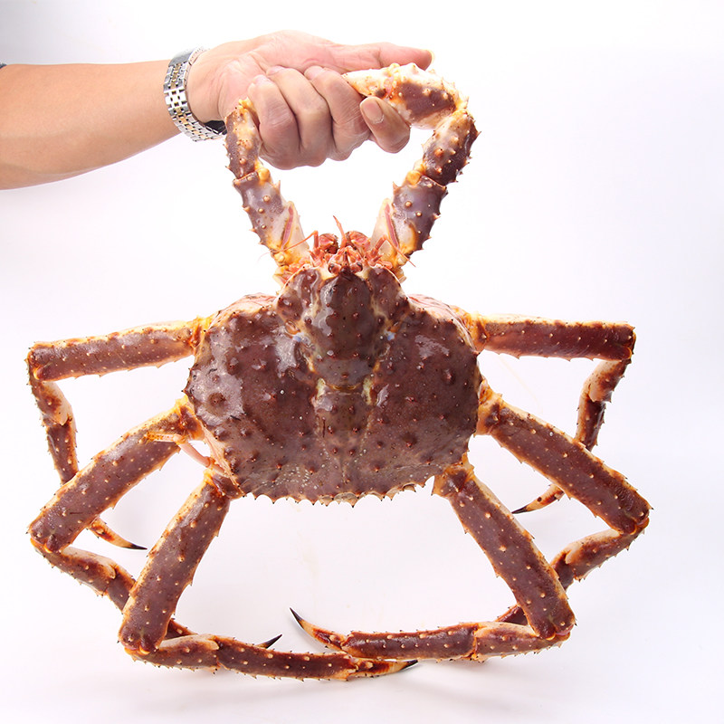 长沙店 鲜活帝王蟹3-4斤/只拍照称重结算 长脚蟹皇帝大螃蟹包活 - 券