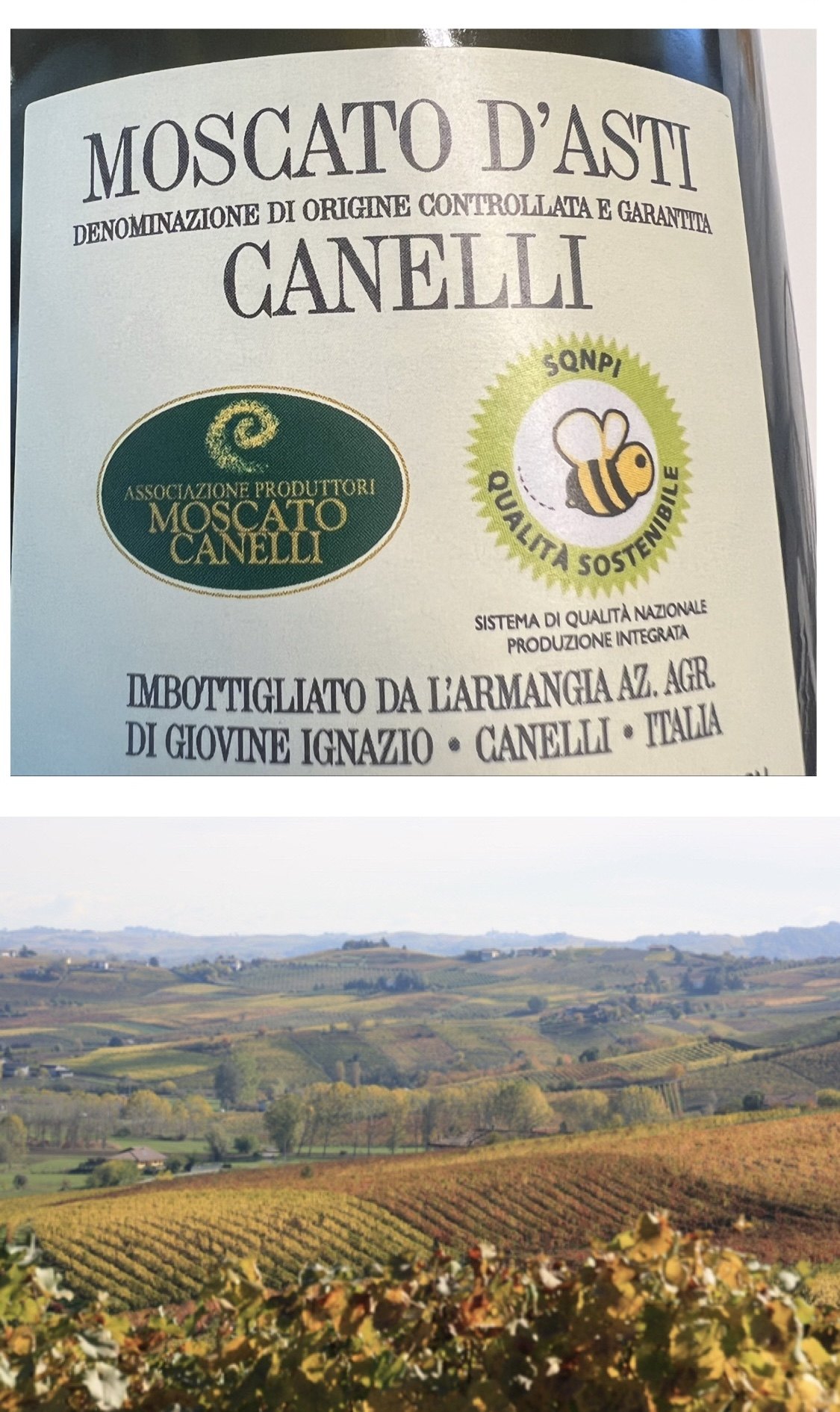 moscatodasti甜水意大利莫斯卡托docg起泡葡萄酒蓝鸟甜型葡萄酒含贵腐