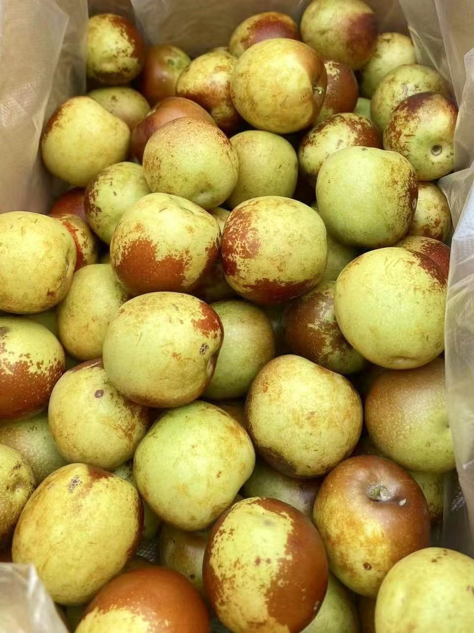 顺丰特大多汁脆甜冬枣二代采摘新疆当天鲜冬枣