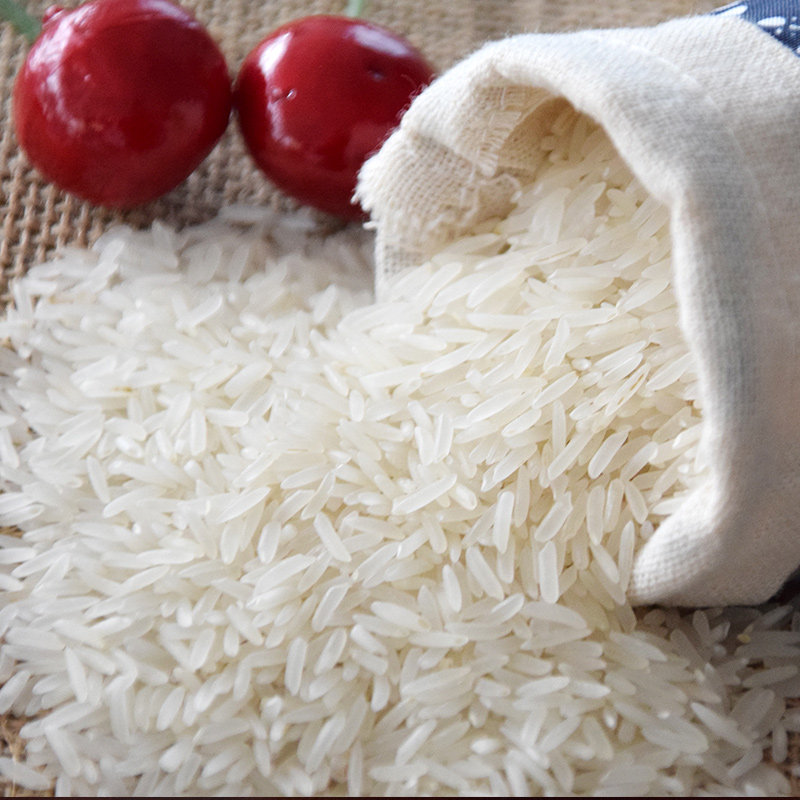 金凤凰新米正宗马坝油粘米5kg10斤大米韶关籼米大米