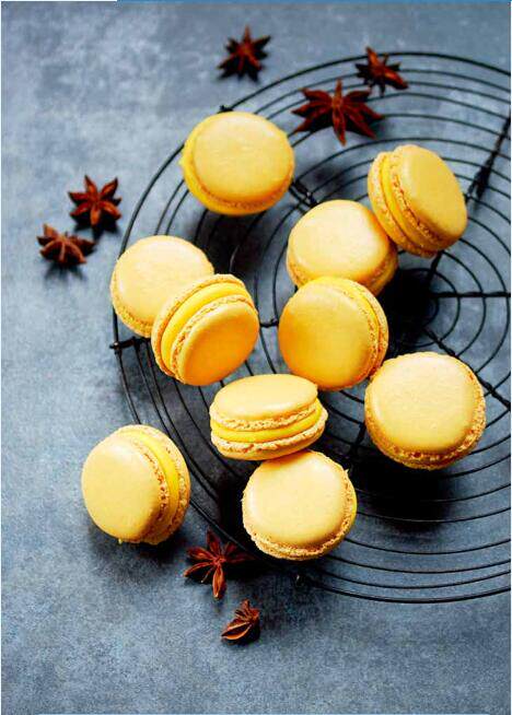 法国蓝带糕点圣经烘焙书籍教程大全西点烘焙书籍蛋糕书籍大全烘焙烘培