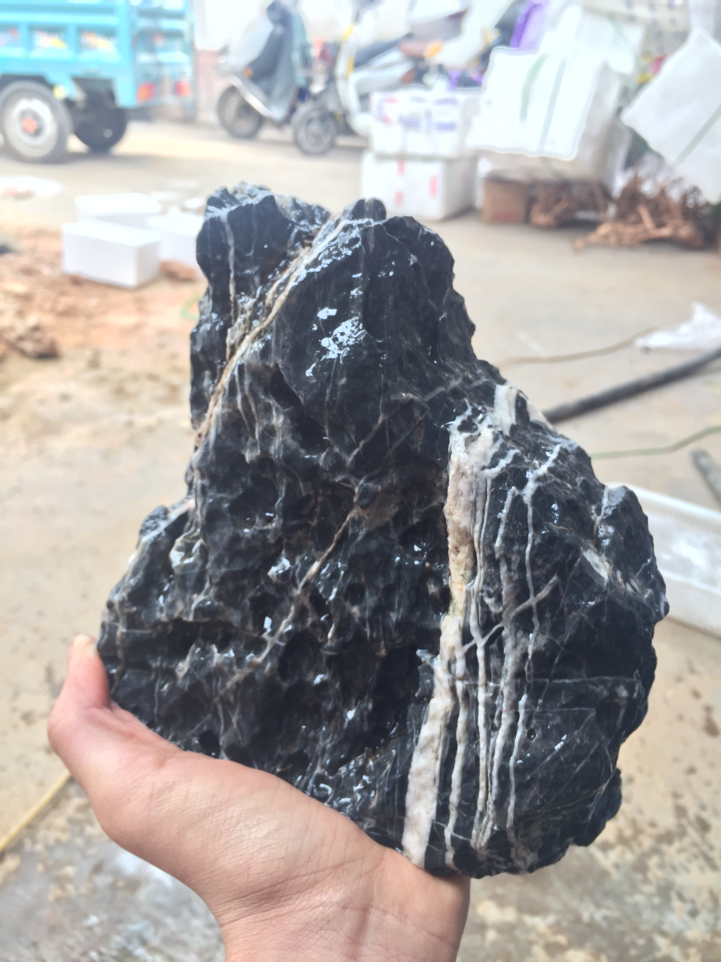 酸洗青龙石水族鱼缸草缸造景石套餐石头大小块水陆缸假山盆景包邮