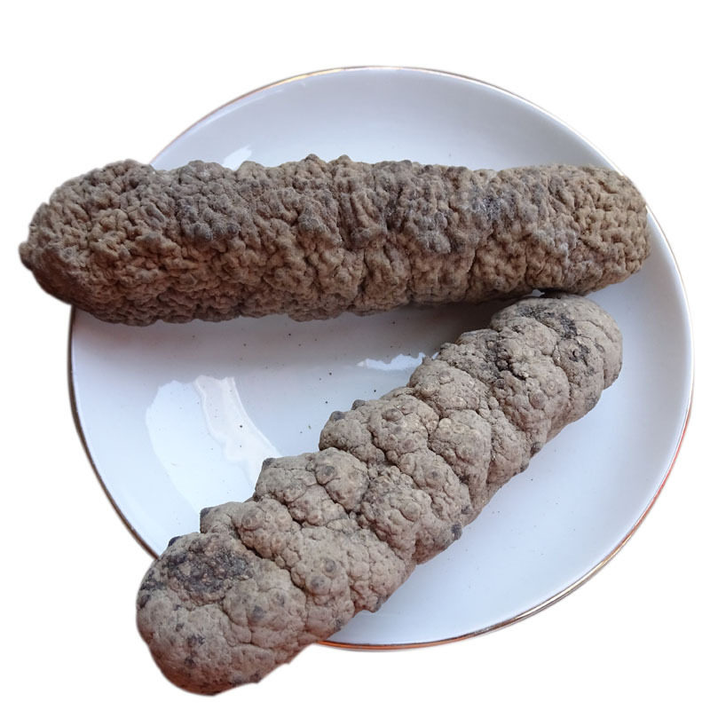 广西北海特产深海海参黄玉猪仔黄刺参参淡干货海参