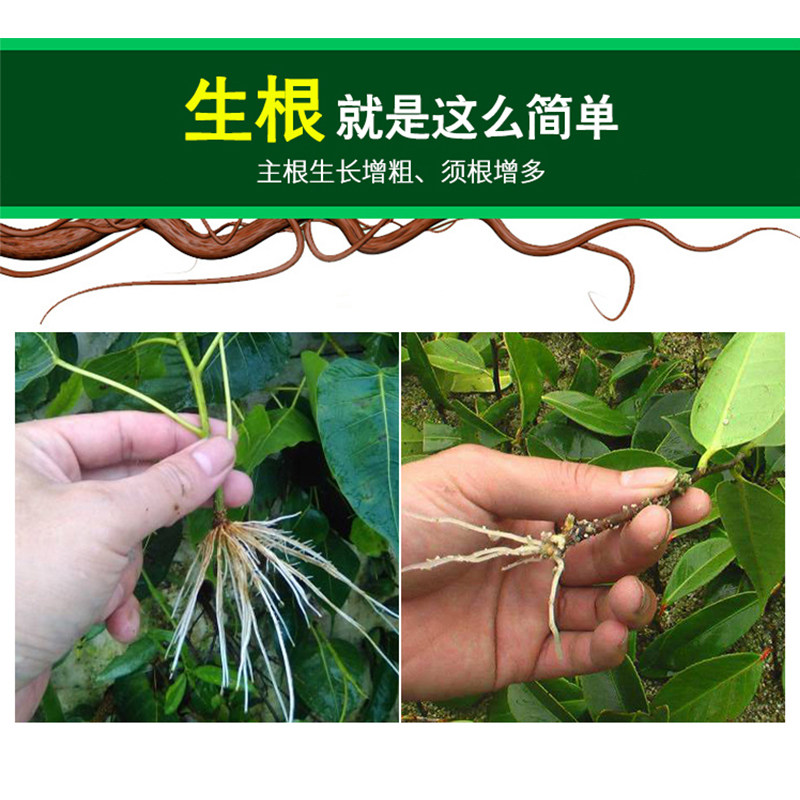 生根菌肥微生物菌剂壮苗膨果增产施肥滴灌肥大生物菌肥