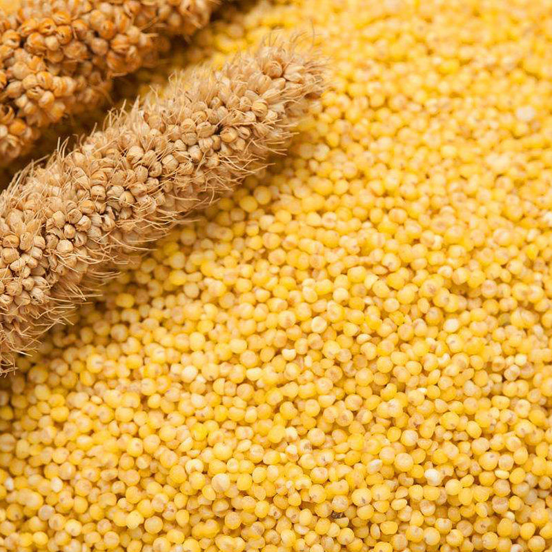 宠尚天 虎皮鹦鹉谷子带壳小米鸟食饲料牡丹玄凤粮食鸟粮食物 2lb