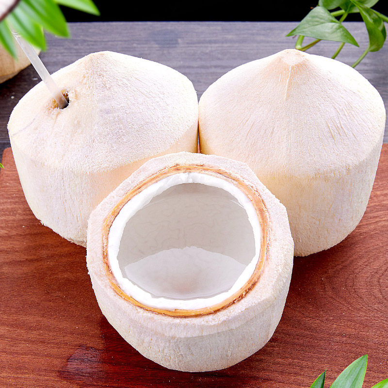 椰子海南椰青新鲜9个当季孕妇水果香皇去皮椰青