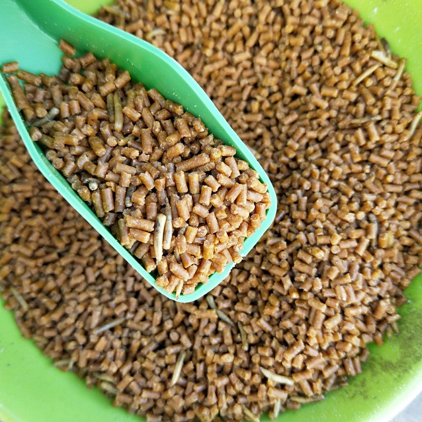 饲料鸟粮包包贵州凯里画眉画眉鸟鸟食鸟料百灵鸟鸟食