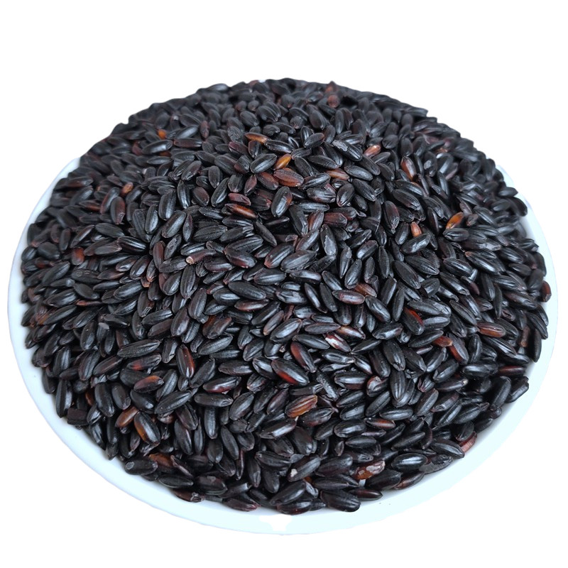 东北黑米农家新粮黑糙米发芽香米五谷杂粮煮粥米饭黑米