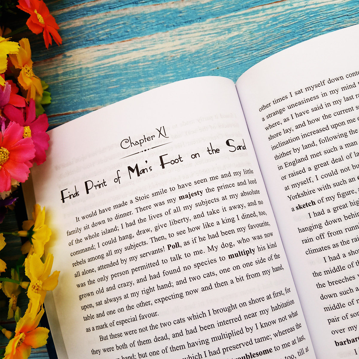 英文书籍鲁滨逊野外生存注解词汇电子删减故事纪实世界名著