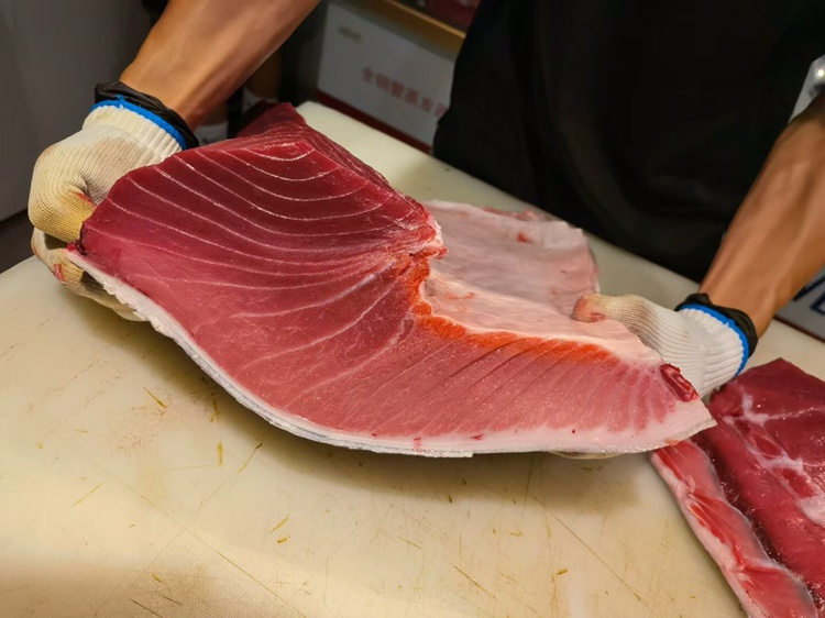 日本蓝旗金枪鱼新鲜刺身肥大腹大腩中中腹肉红金枪鱼