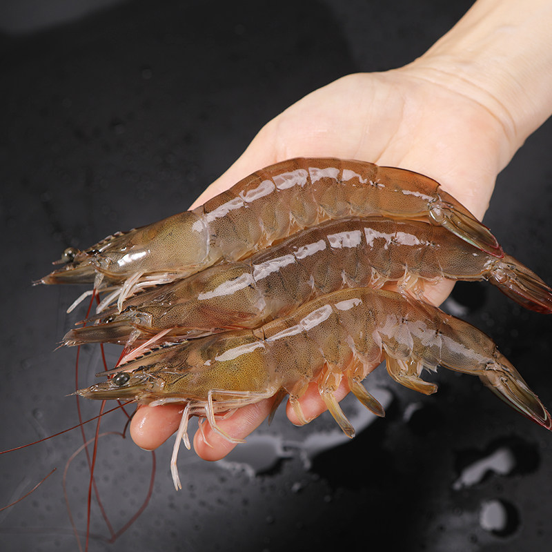 王牌厄瓜多尔白虾新鲜冷冻海虾特大超大基围虾活冻虾