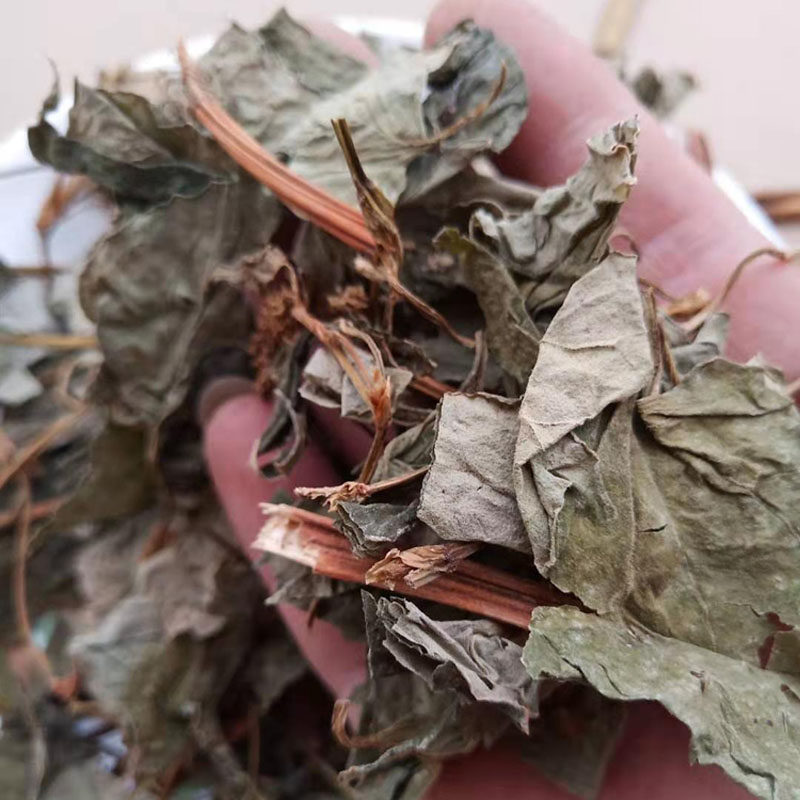 广西野生鱼腥草干折耳根泡水贴耳鱼心草新鲜鱼鱼腥草