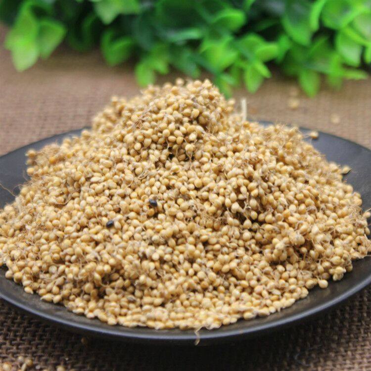 中药材小米芽 生谷芽 免费磨粉 炒谷芽 包邮500g要炒谷芽请备注下