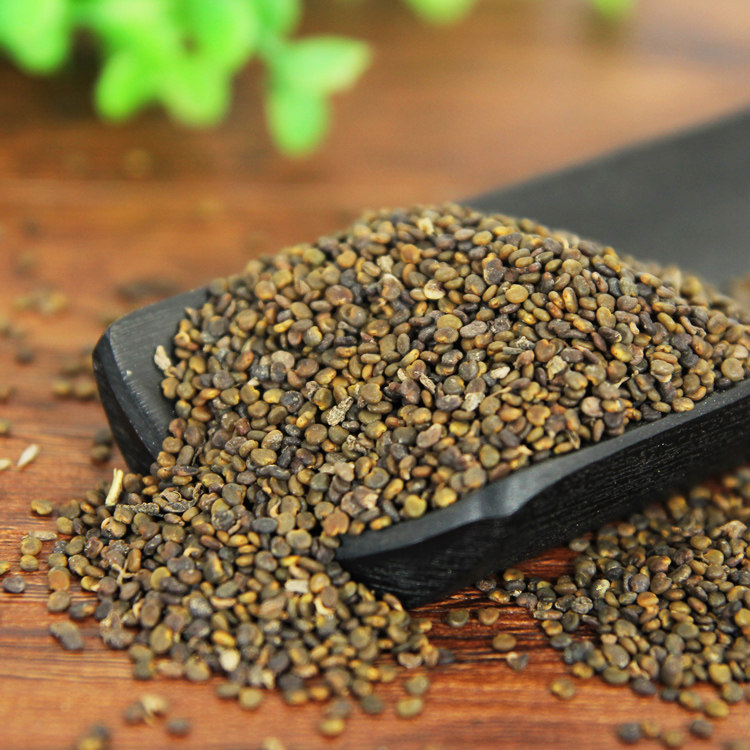 沙苑中药材精选野生蒺藜500克包邮免费打粉其他药食同源食品