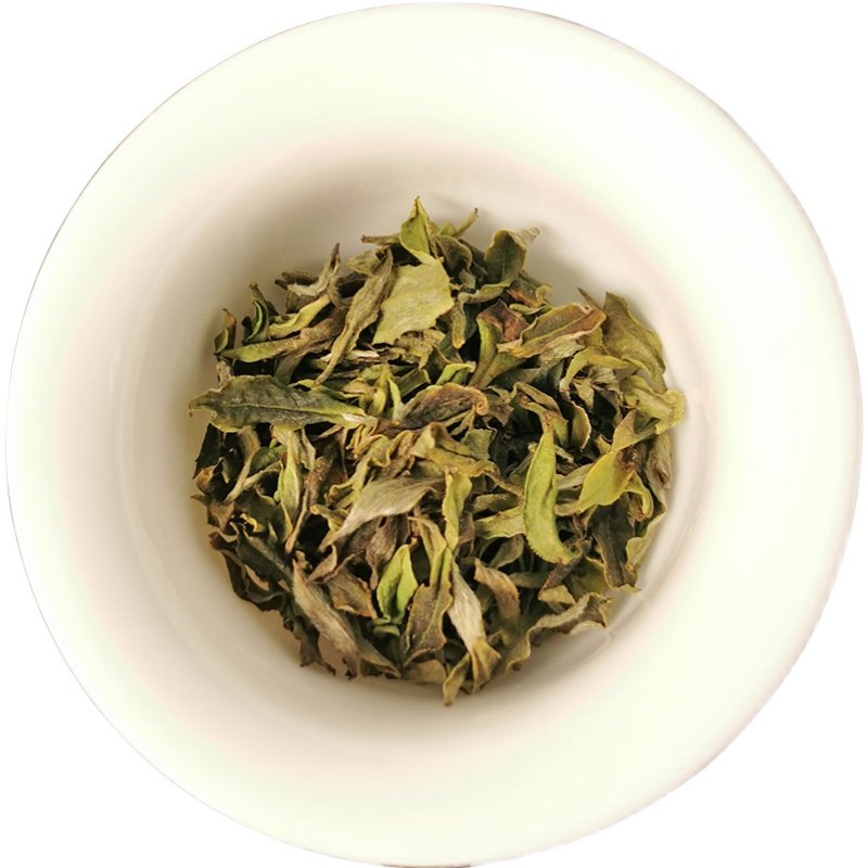 鱼叶2021新茶500g首采白毫银针管高山福鼎白茶白毫银针