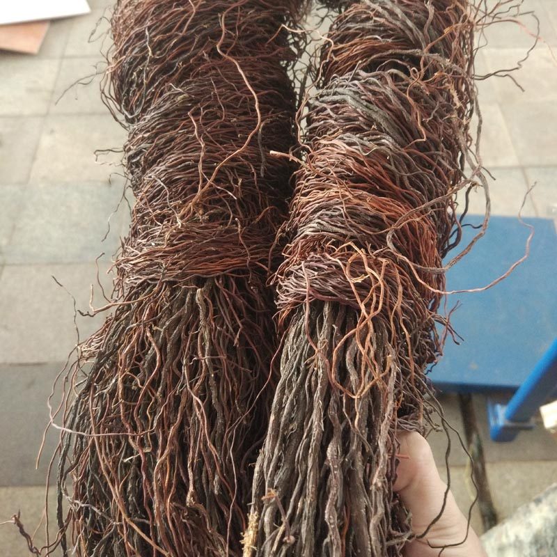 须根造景根须树须龙须根榕树须爬藤条天然鱼缸造景