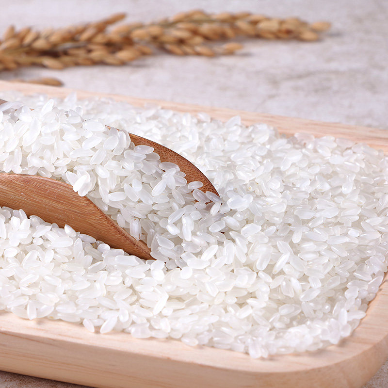 柴火大院 2019年新米东北大米长粒香米5kg10斤黑龙江香米农家自产