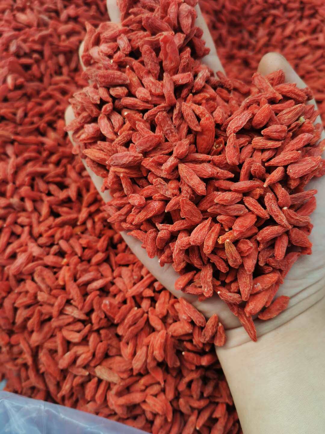 枸杞宁夏中小颗粒泡茶食品加工小粒5斤整箱箱包枸杞