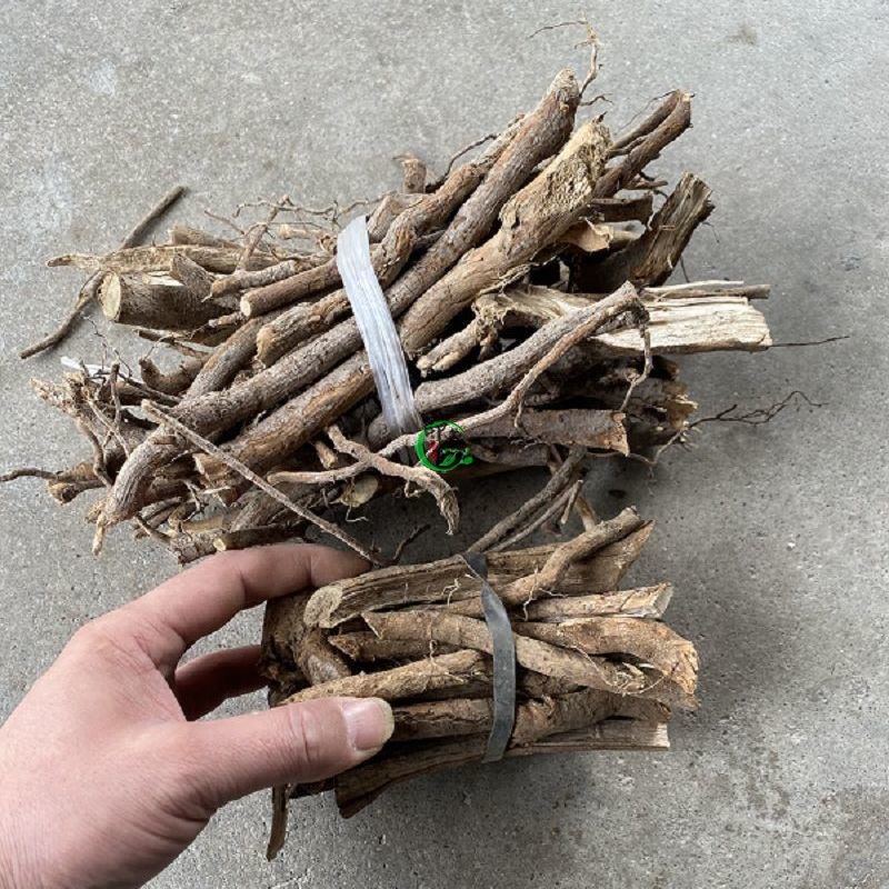 福建闽清特产树根全干臭枳草根猪脚汤料山500g其它干货