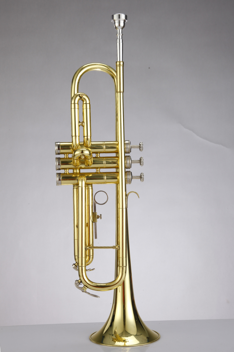 进口管乐成人漆金黄铜铜管allison西洋鼓号乐器小号