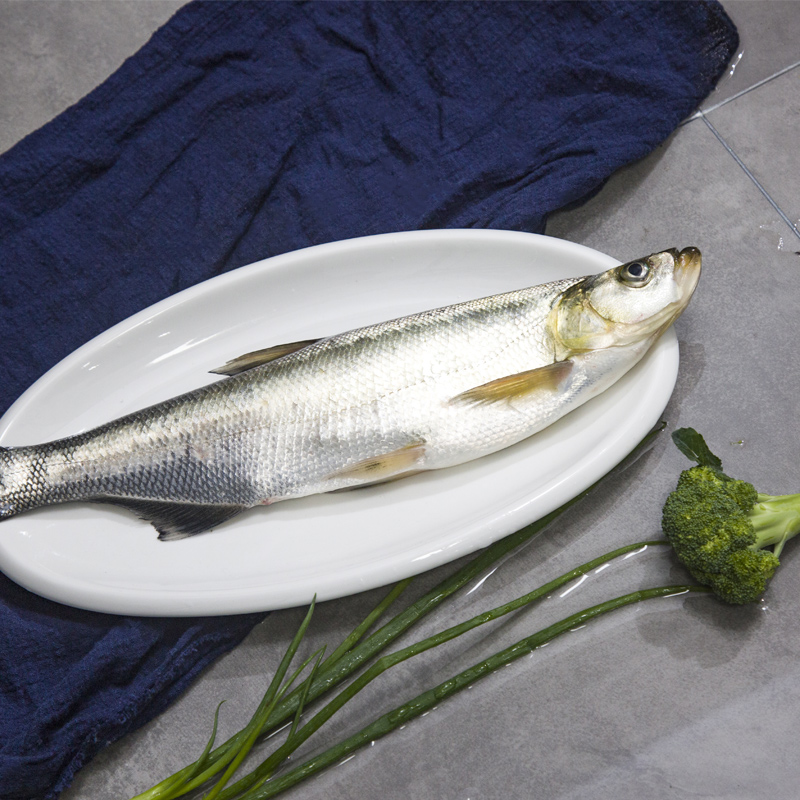 淡水太湖鱼白翘嘴子鱼白鱼新鲜渔码头特产白特产淡水鱼类