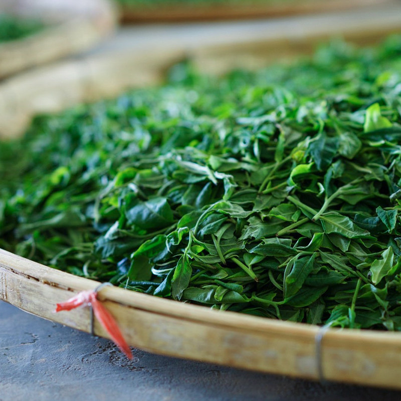 吉普普洱茶2022年布朗班盆古树量贩霸王饼熟茶叶普洱