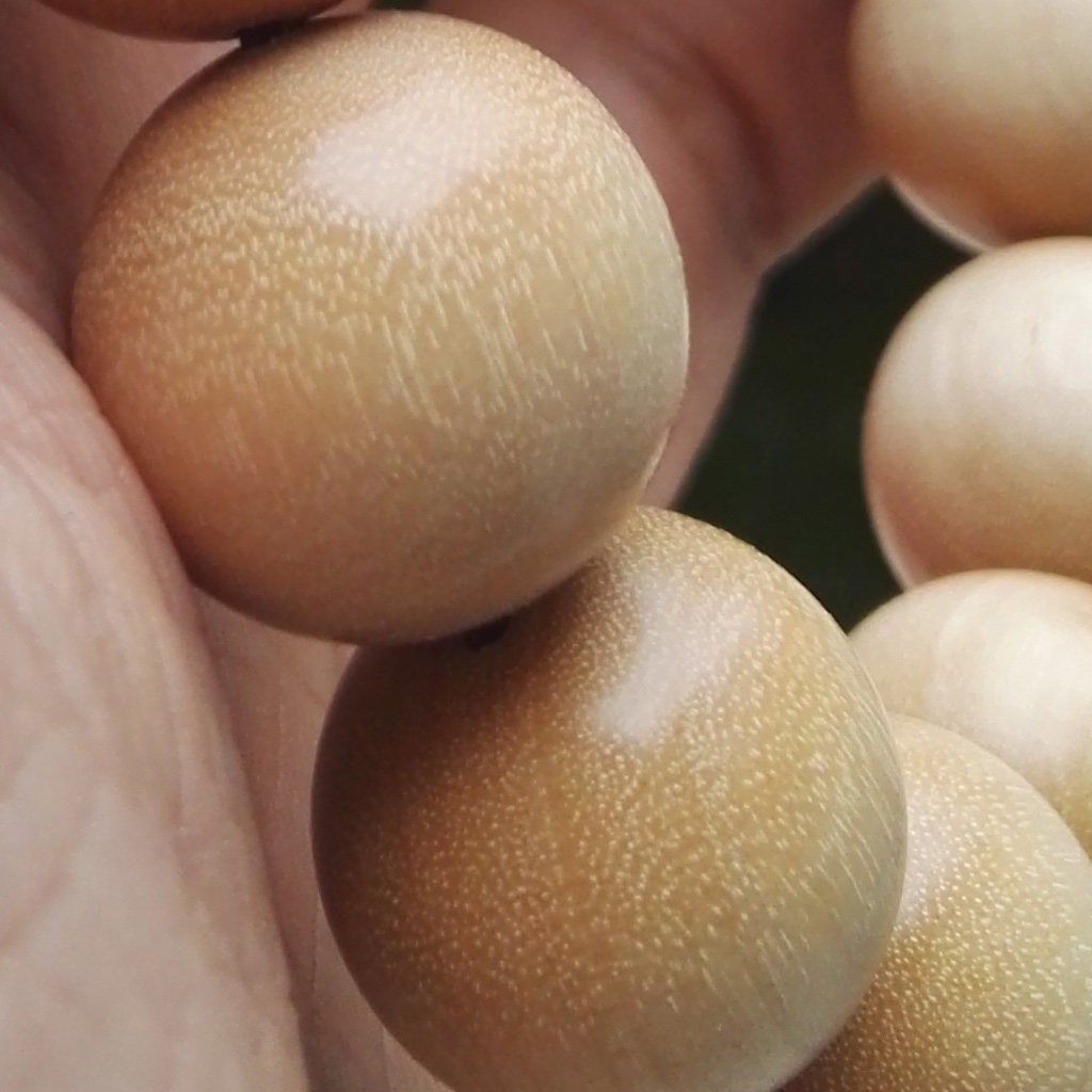 青陌手工小孔文玩金丝满金丝男女老料坚桦手串佛珠