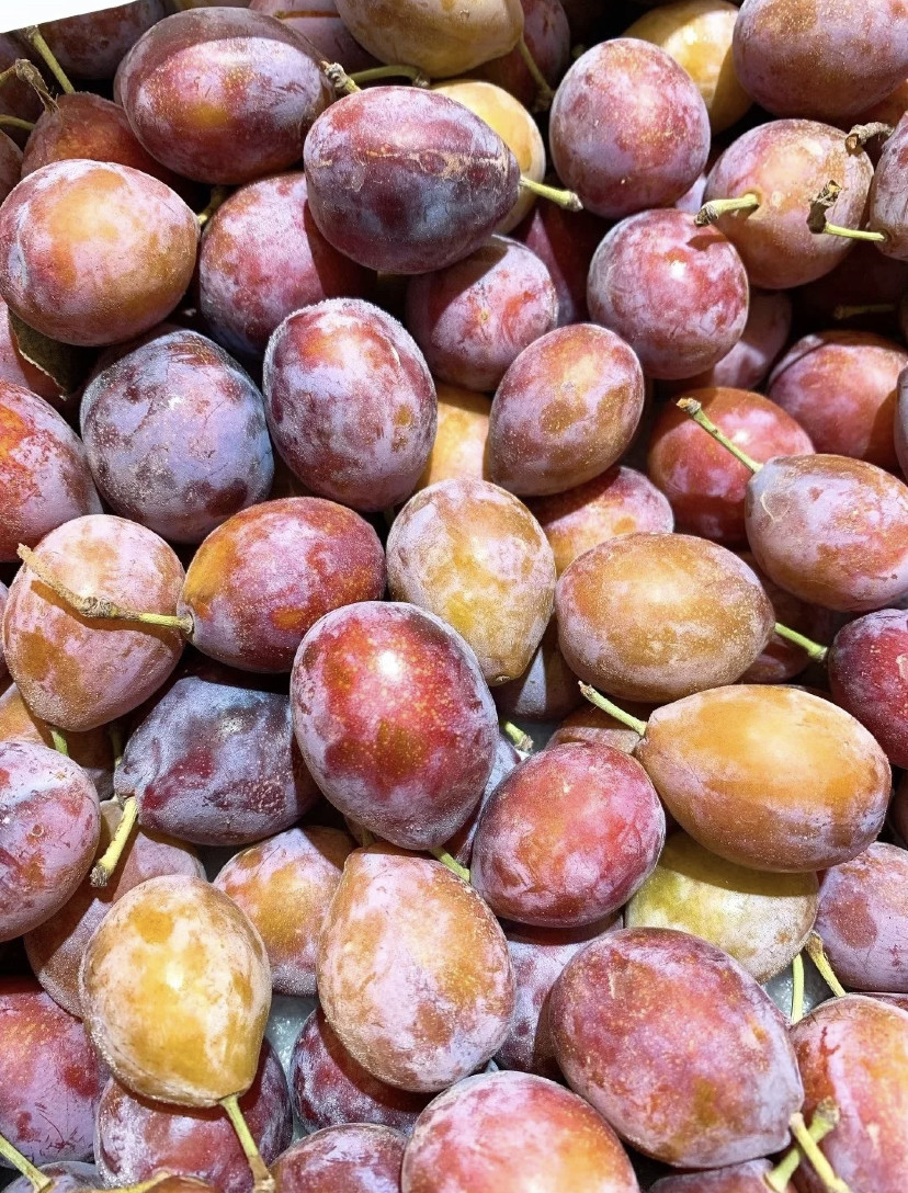 新疆西梅新鲜水果孕妇喀什法兰应季整箱李子李子