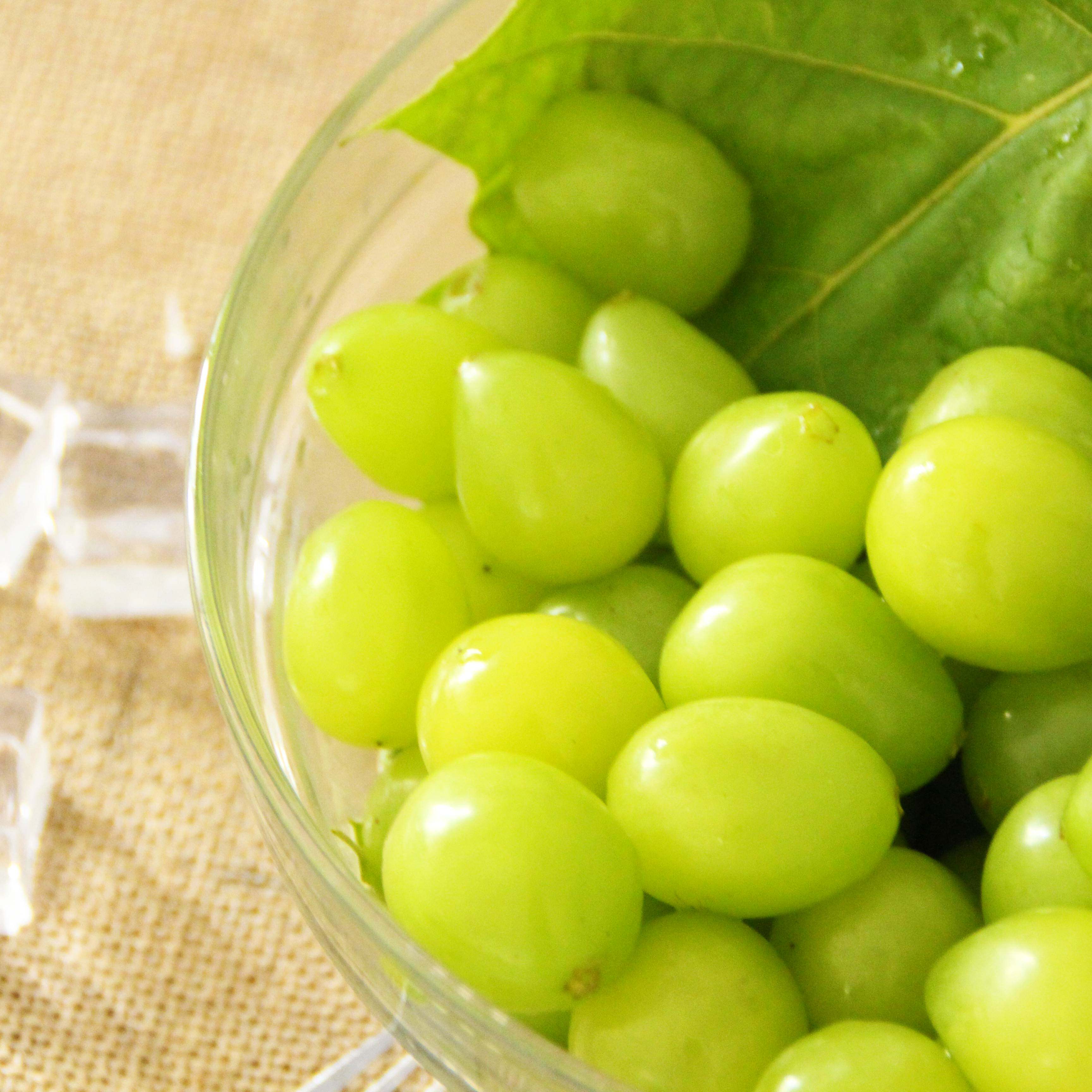 原产地新鲜水果阳光玫瑰香印青提葡萄现摘优于红提日本马奶提5斤