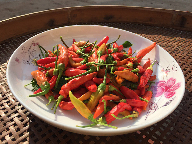 新鲜广东东南雄新霸王辣特红辣椒指尖尖椒朝天其它