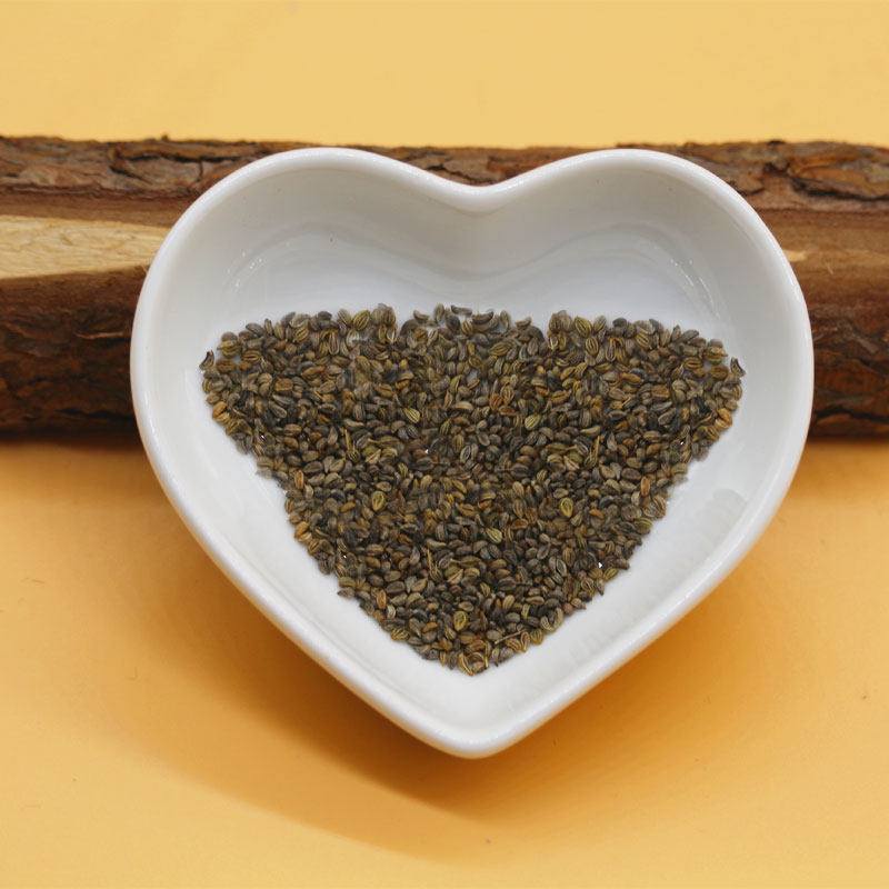 英国原装进口苔藓卷曲2有机欧芹种子 进口洋芫荽欧芹蔬菜香草种子