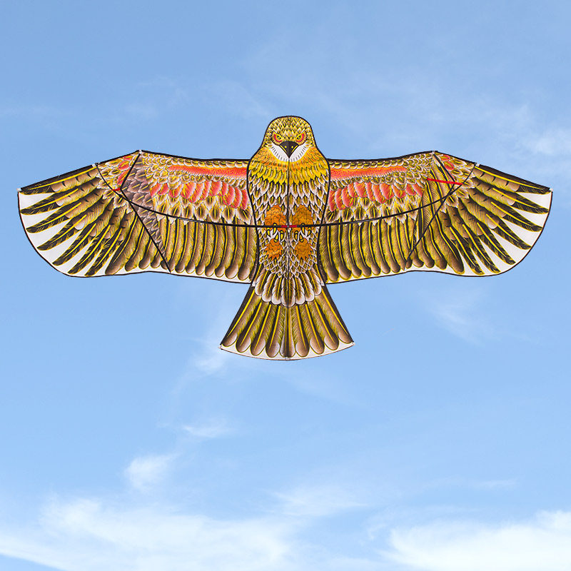 老鹰风筝潍坊小号儿童卡通大型成人人前撑杆风筝