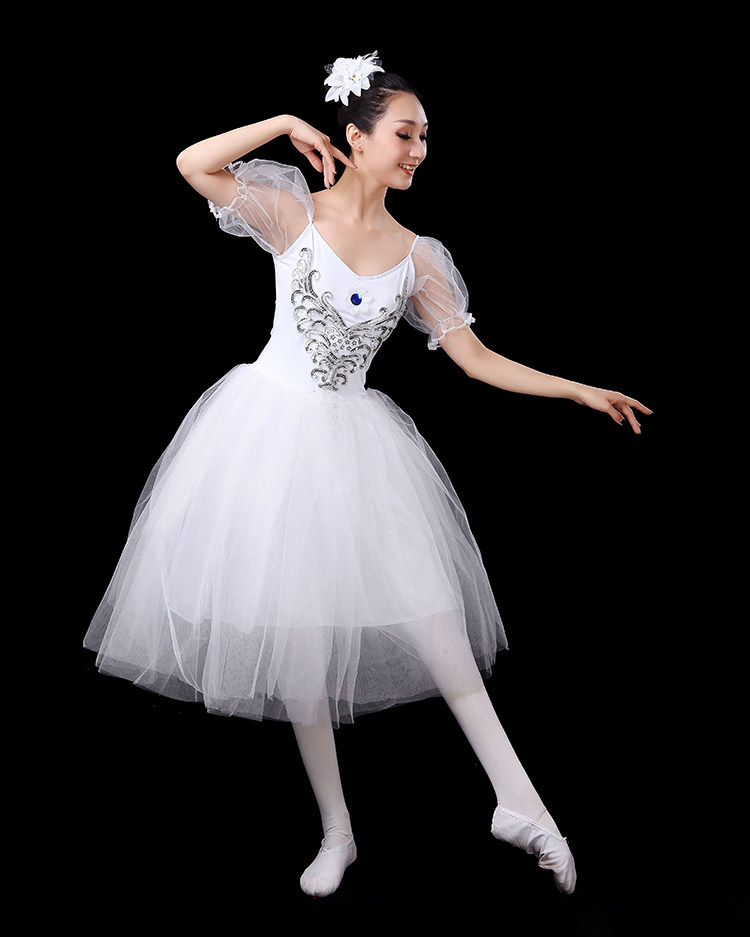 芭蕾舞成人专业舞蹈连体纱裙蓬蓬天鹅湖演出服泡泡芭蕾舞演出服