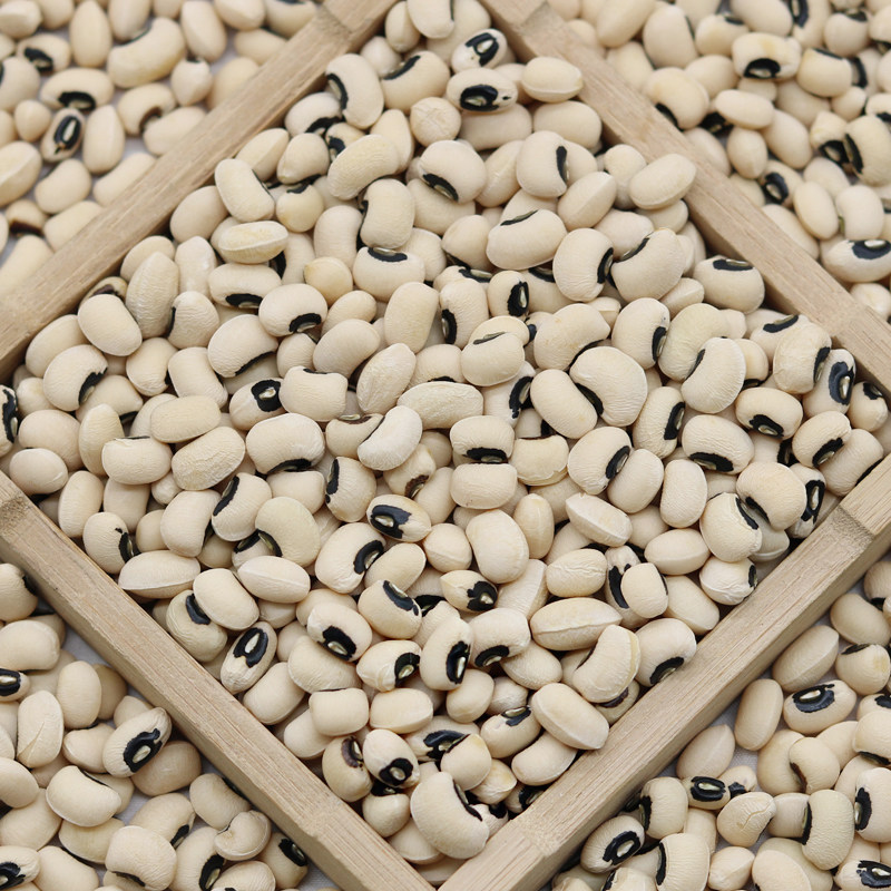 江豆 农家自产姜豆 白豇豆250g 杂粮 眉豆米豆饭豆白豆 豆子 腰豆