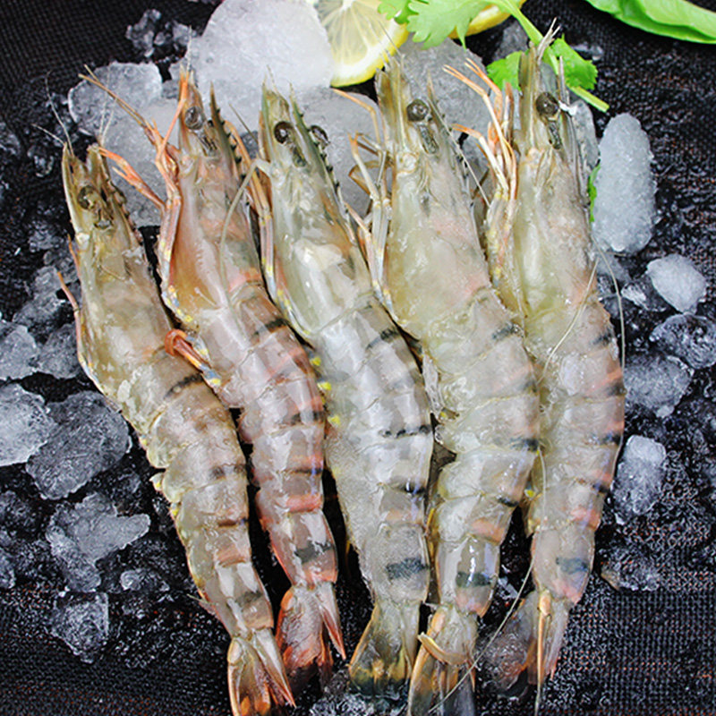 虎虾越南冻虾冷冻海虾鲜活超大青虾冻虾
