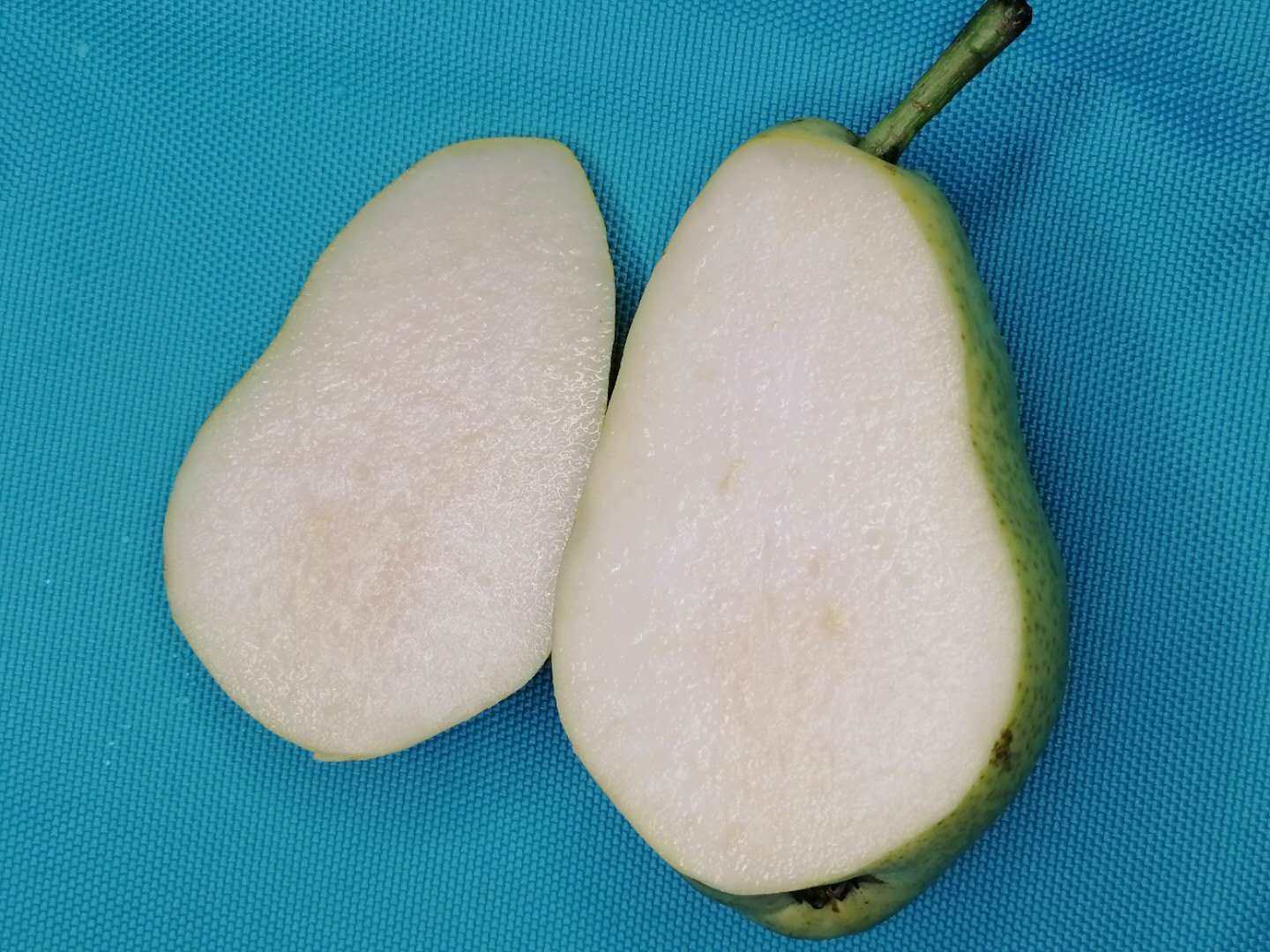 旅顺洋梨太婆10斤应当当季现摘东北茄梨大头梨