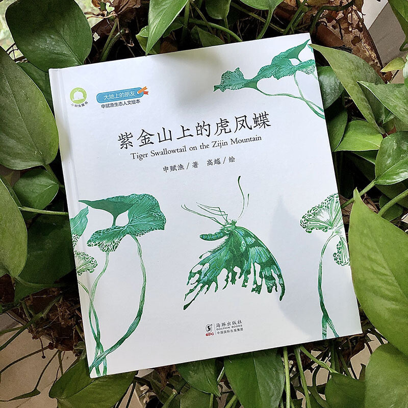 上的大地教育生命自然身边孩子紫金山虎凤蝶绘本绘本