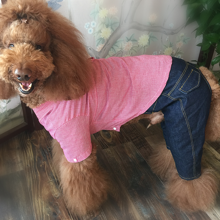 哈尼原创狗狗巨贵大型牛仔裤柴犬萨摩哈士奇拉拉宠物服装