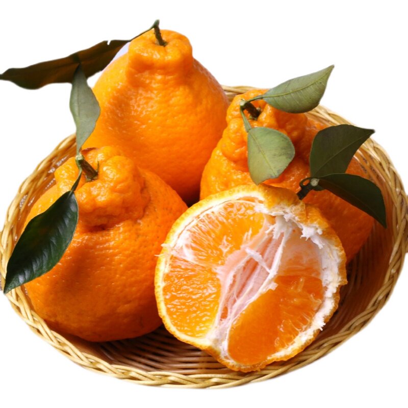 正宗不知火丑新鲜丑柑大果丑桔桔子粑粑丑八怪桔子