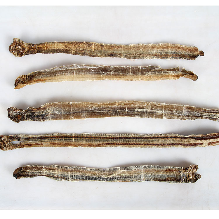 中药材壁虎地龙干天龙干守宫干壁宫蝎虎干蝎子100g包邮天龙可磨粉