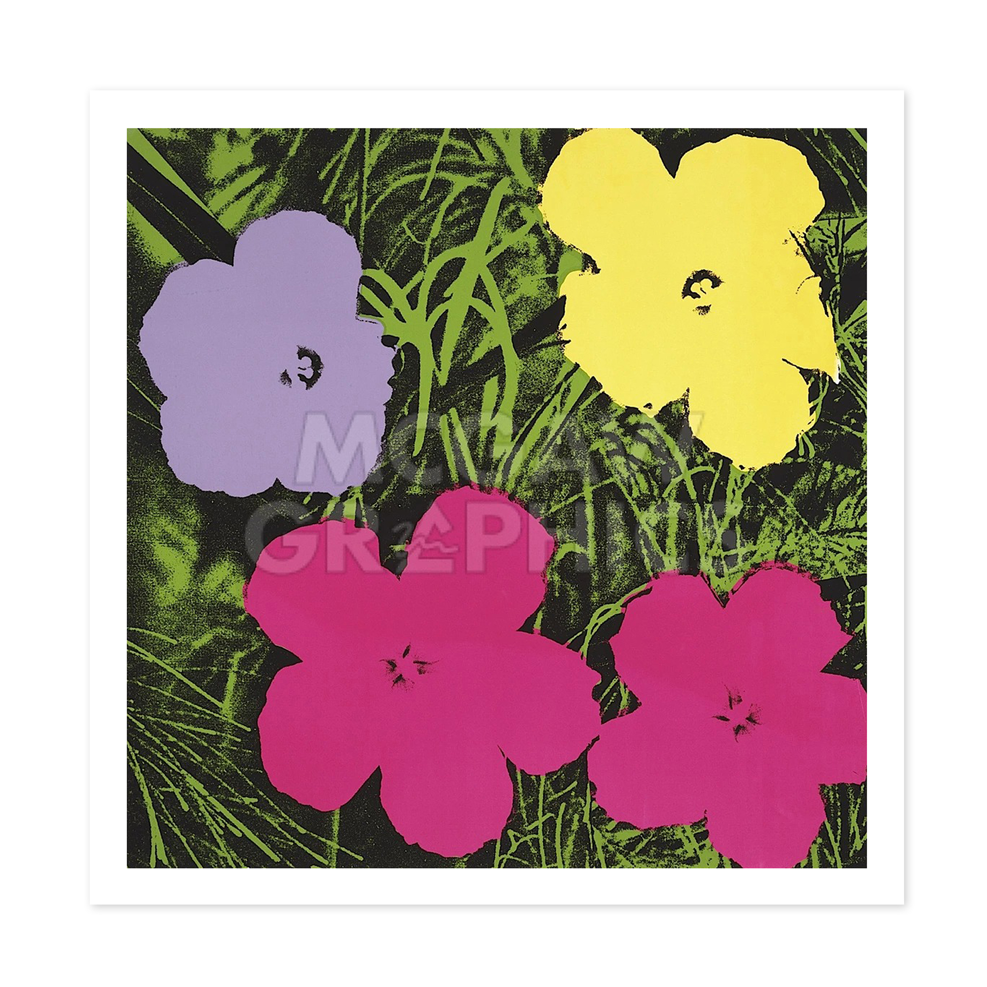 dearf|新款加入mcgaw|安迪沃霍尔flowers|独家正版美国进口装饰画