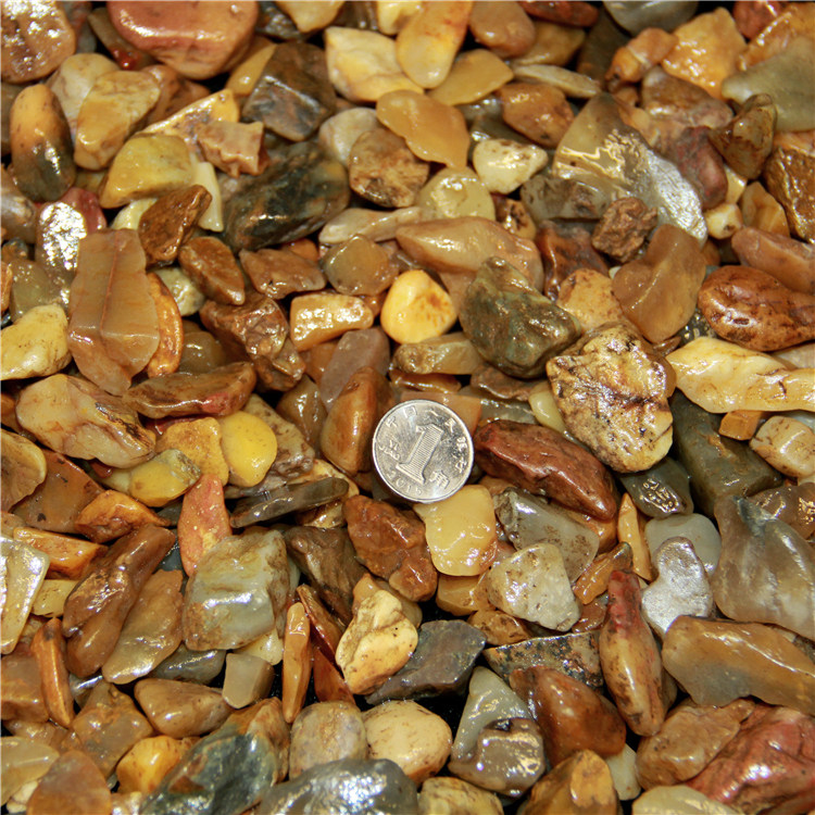 原石寿山山石溪管田坑头田石斤毛料溪蛋田坑石山田珠宝奇石