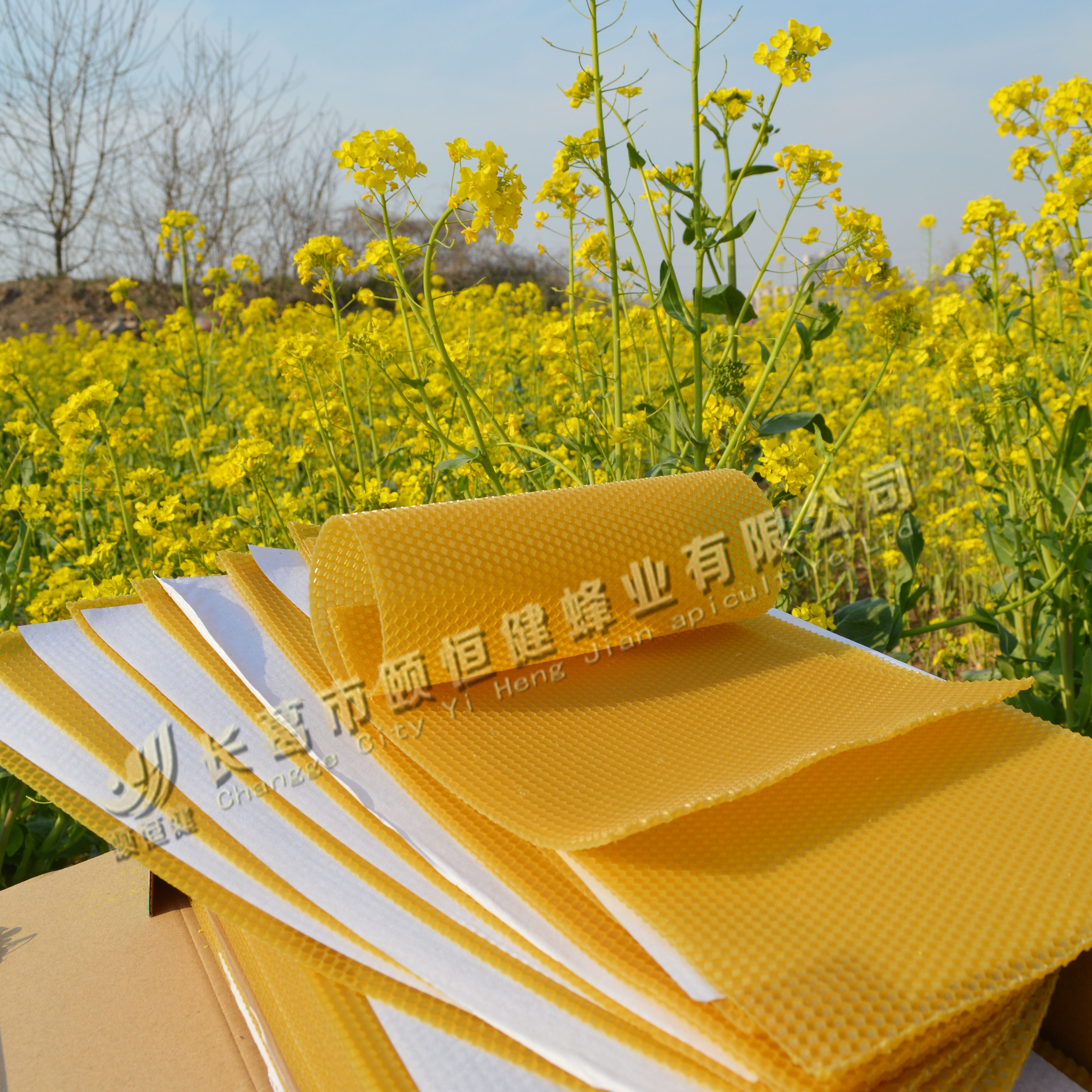 意蜂巢础深房蜜蜂蜂箱巢础意蜂30片蜂巢脾基养蜜蜂具包邮