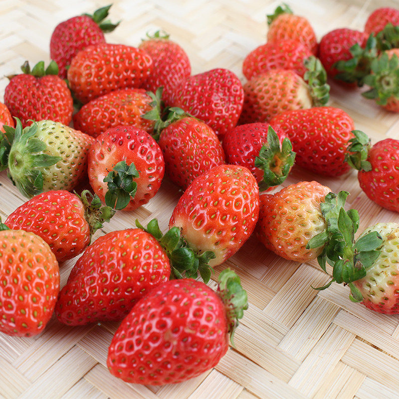 草莓新鲜1盒20粒小果蛋糕烘焙专用装饰孕妇草莓
