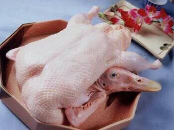 新鲜冷冻光鹅白条鹅仔鹅生鹅肉8只可选整箱鹅肉