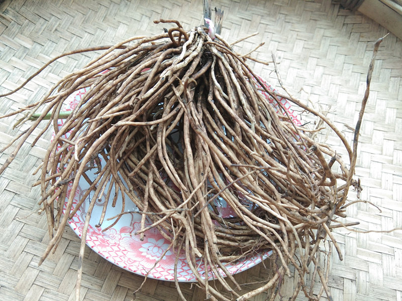 贵州新鲜草药白薇500g包邮中药材针线包知微老瓜其他药食同源食品